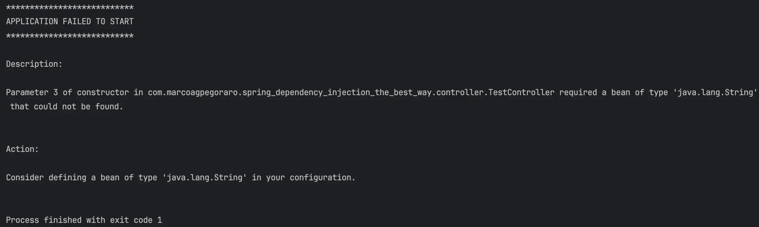 Application failed to start