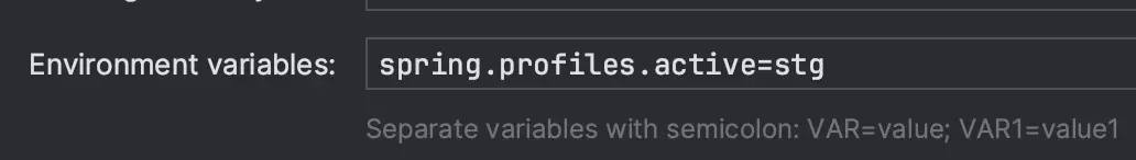 Environment variable spring.profiles.active declared in the IntelliJ run configuration